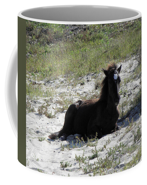 Wild Coffee Mug featuring the photograph Wild Foal by Kim Galluzzo Wozniak