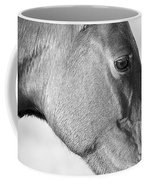 Wild Coffee Mug featuring the photograph Wild Horse Intimate by Bob Decker