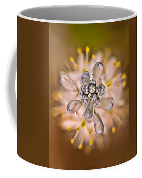 2012 Coffee Mug featuring the photograph Wild Hyacinth by Robert Charity