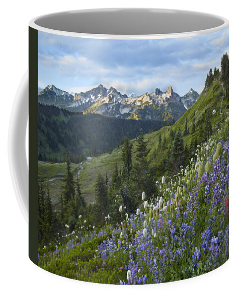 00437811 Coffee Mug featuring the photograph Wildflowers And Tatoosh Range Mount by Tim Fitzharris