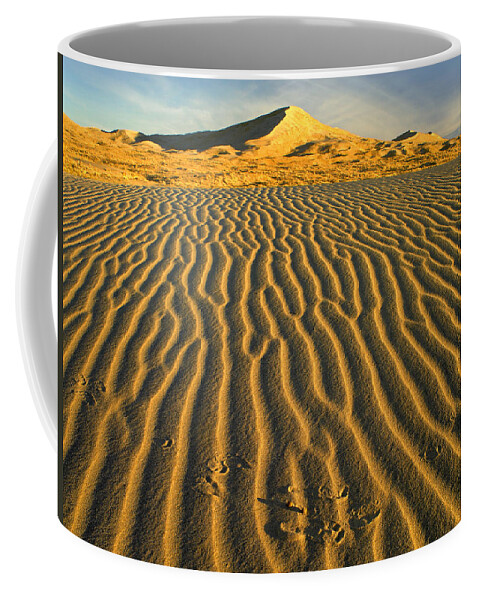 00175530 Coffee Mug featuring the photograph Wind Ripples In Kelso Dunes Mojave by Tim Fitzharris