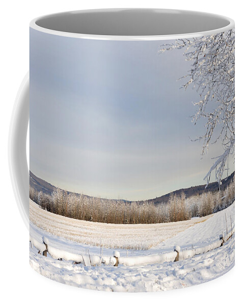 Alaska Coffee Mug featuring the photograph Winter Farm - Alaska by Gary Whitton