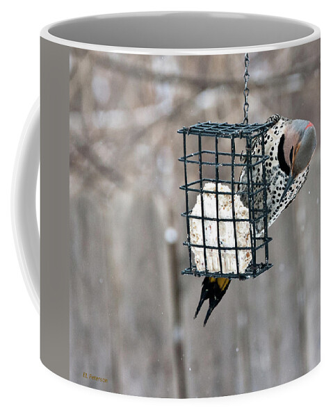 Yellow Shafted Northern Flicker Coffee Mug featuring the photograph Winter Feeding by Ed Peterson