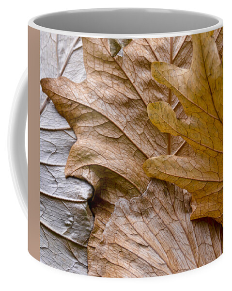 Botanical Coffee Mug featuring the photograph Autumn Leaves of Gold by Carolyn Marshall