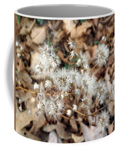 Winters Coffee Mug featuring the photograph Winters flowers by Kim Galluzzo Wozniak