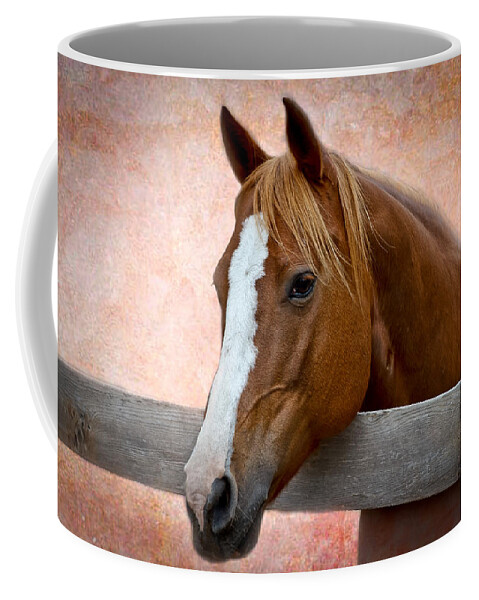 Afternoon Coffee Mug featuring the photograph With a Whisper by Doug Long