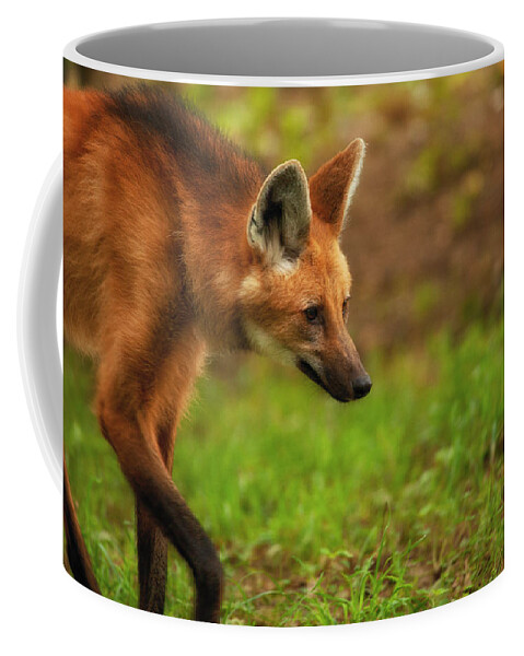 Maned Wolf Coffee Mug featuring the photograph Wolf Strut by Karol Livote