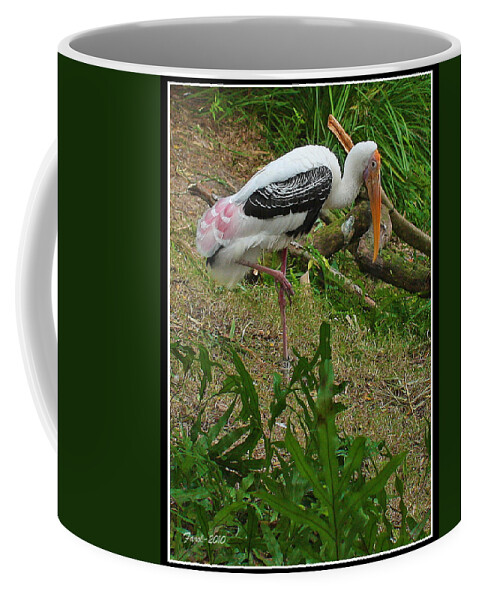 Wood Coffee Mug featuring the photograph Wood Stork by Farol Tomson