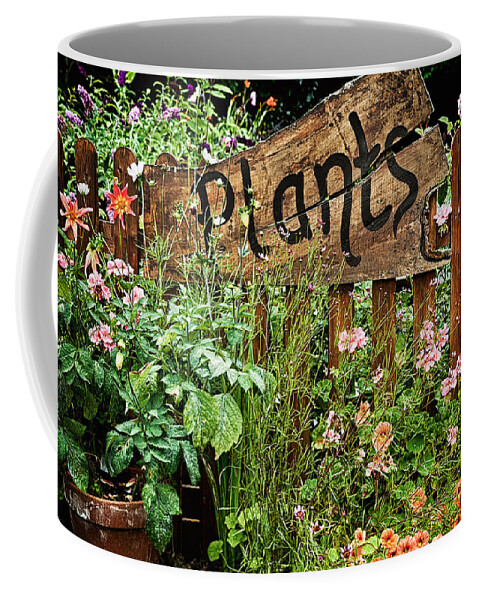Plants Coffee Mug featuring the photograph Wooden plant sign in flowers by Simon Bratt