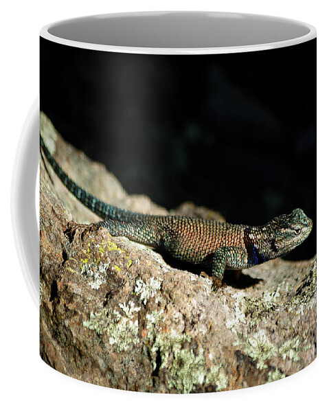 Lizard Coffee Mug featuring the photograph Yarrow's by Vicki Pelham