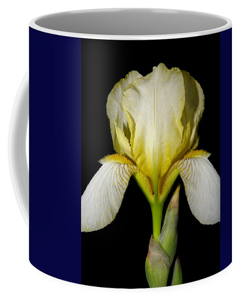 Iris Coffee Mug featuring the photograph Yellow At Night by Kim Galluzzo