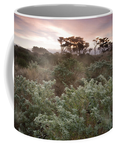 00499819 Coffee Mug featuring the photograph Yellow Bush Lupine And Monterey Cypress by Sebastian Kennerknecht