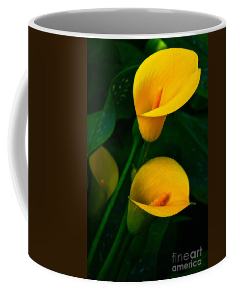 Lily Of The Nile Coffee Mug featuring the photograph Yellow Calla Lilies by Byron Varvarigos