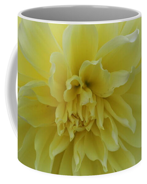 Dahlia Coffee Mug featuring the photograph Yellow Dahlia by Debra Martelli