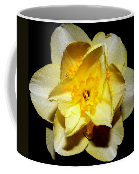 Yellow Coffee Mug featuring the photograph Yellow Dream by Kim Galluzzo Wozniak