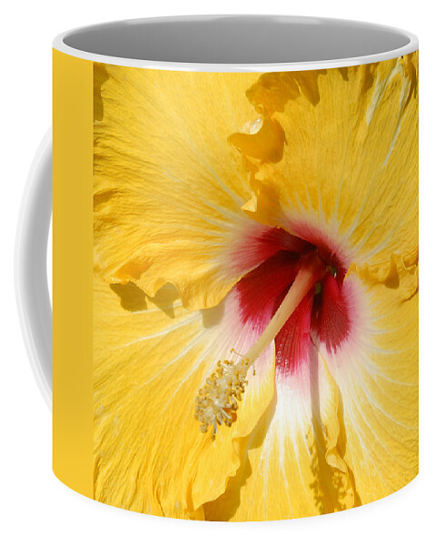 Flora Coffee Mug featuring the photograph Yellow Fellow by Cindy Manero