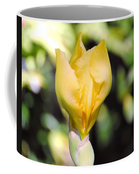 Beautiful Iris Coffee Mug featuring the photograph Yellow Iris Bloom by Jai Johnson