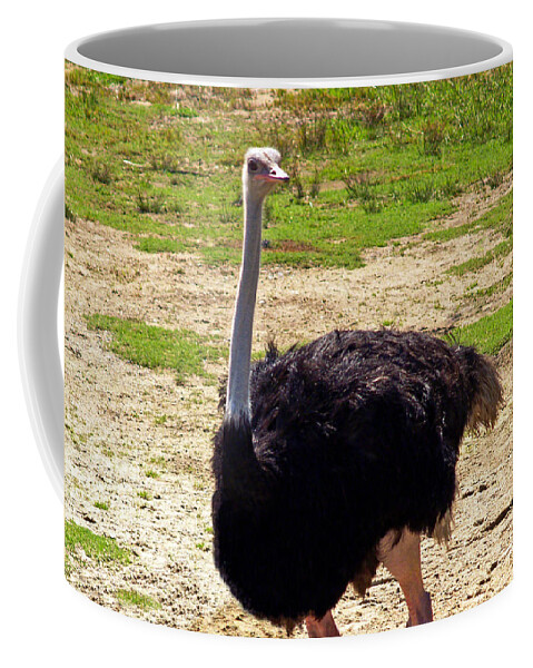 Fine Art Photography Coffee Mug featuring the photograph You Look at Me I Look at You by Patricia Griffin Brett