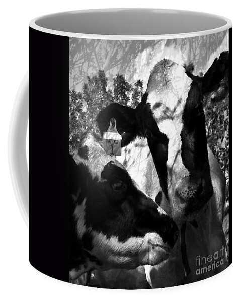 Agriculture Greeting Cards Coffee Mug featuring the photograph Zoey Plays with Matilda by Danielle Summa