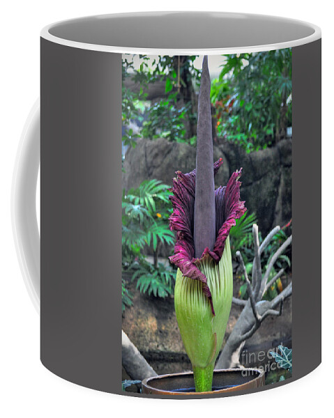 Morticia Coffee Mug featuring the photograph Corpse Flower by Savannah Gibbs