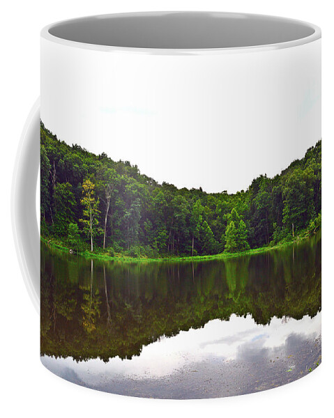 Forest Water Reflection. Green Coffee Mug featuring the photograph Ferdinand Forest Reflection by Stacie Siemsen