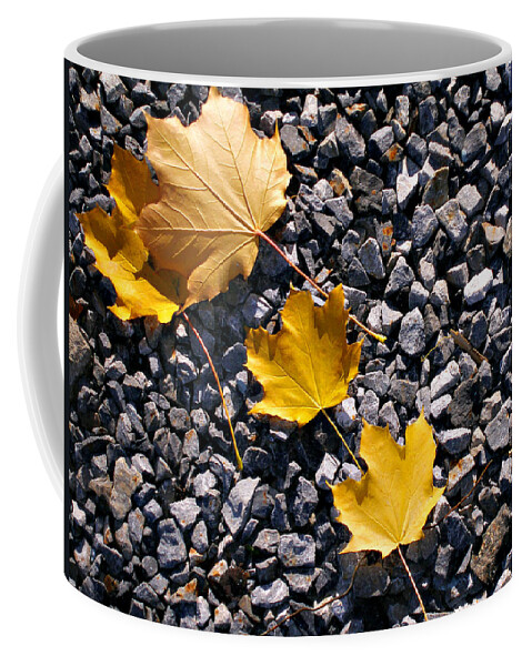 Nature Coffee Mug featuring the photograph Friends by Yelena Tylkina