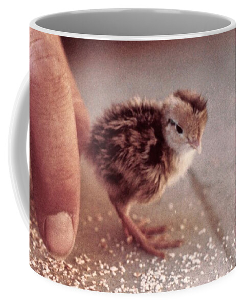 Chicks Coffee Mug featuring the photograph 02_contact With Nature by Christopher Plummer