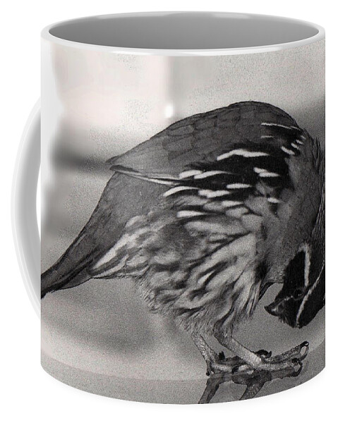 Nature Coffee Mug featuring the photograph 09_Peeps most unusual position by Christopher Plummer