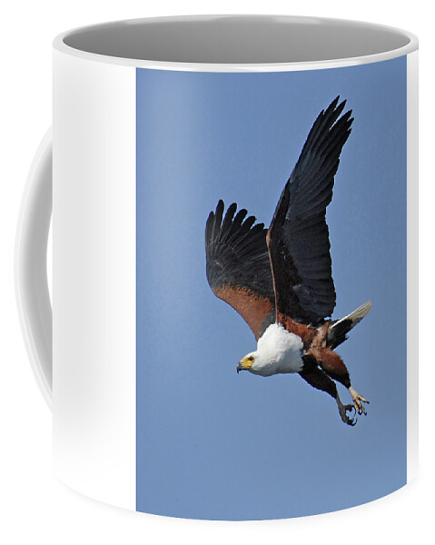Africa Coffee Mug featuring the photograph African Fish Eagle by Ted Keller