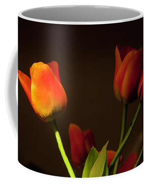 Afternoon Coffee Mug featuring the photograph Afternoon Light #2 by KG Thienemann
