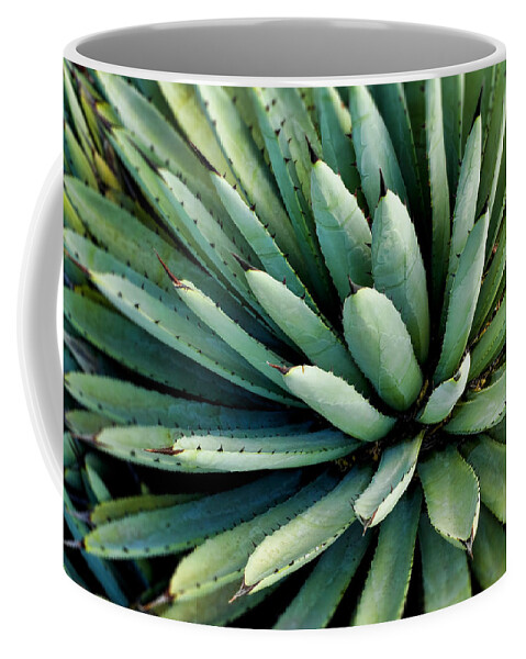 Agave Coffee Mug featuring the photograph Agave #1 by Kelley King