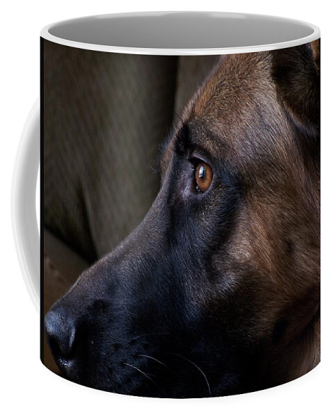Animals Coffee Mug featuring the photograph Alert - German Shepherd Dog by Angie Tirado