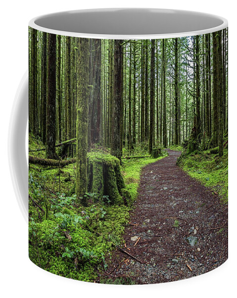 Alex Lyubar Coffee Mug featuring the photograph All covered with green moss magic forest by Alex Lyubar