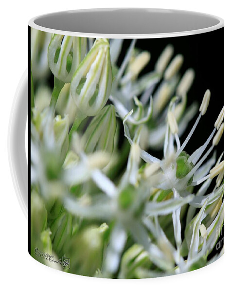 Mccombie Coffee Mug featuring the photograph Allium named Mount Everest #4 by J McCombie