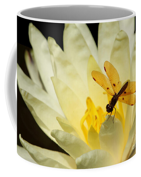 Dragonfly Coffee Mug featuring the photograph Amber Dragonfly Dancer 2 by Sabrina L Ryan