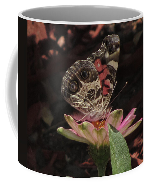 Insect Coffee Mug featuring the photograph American Painted Lady #3 by Donna Brown