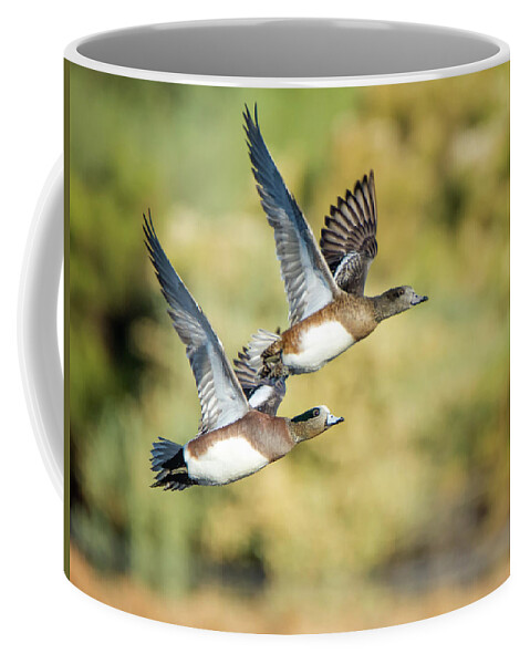 Duck Coffee Mug featuring the photograph American Widgeon #3 by Tam Ryan