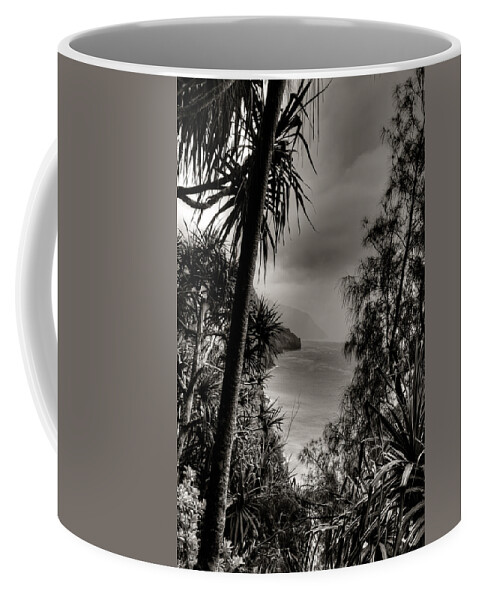Hawaii Photographs Coffee Mug featuring the photograph Ancient Kauai #1 by Natasha Bishop