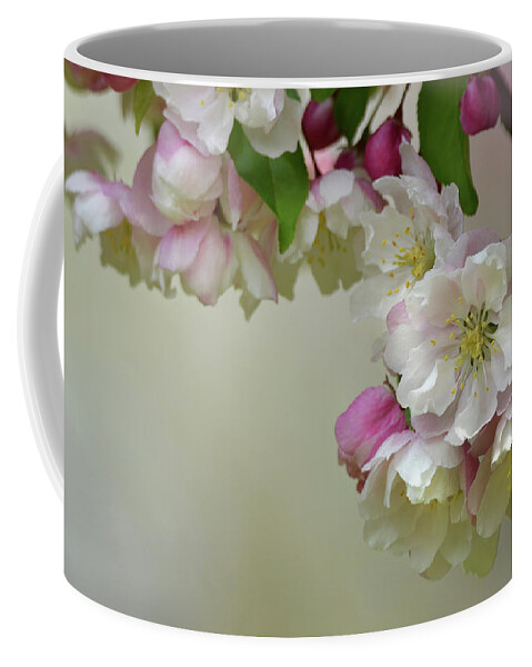 Flower Coffee Mug featuring the photograph Apple Blossoms #1 by Ann Bridges