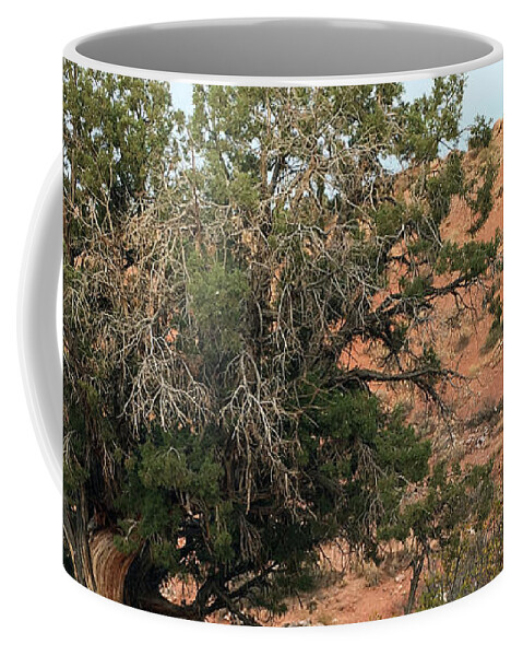 Arches Coffee Mug featuring the photograph Arches National Park No. 19 by Sandy Taylor
