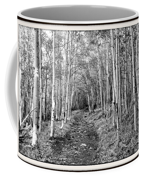 Aspen Coffee Mug featuring the photograph Aspen Forest by Farol Tomson