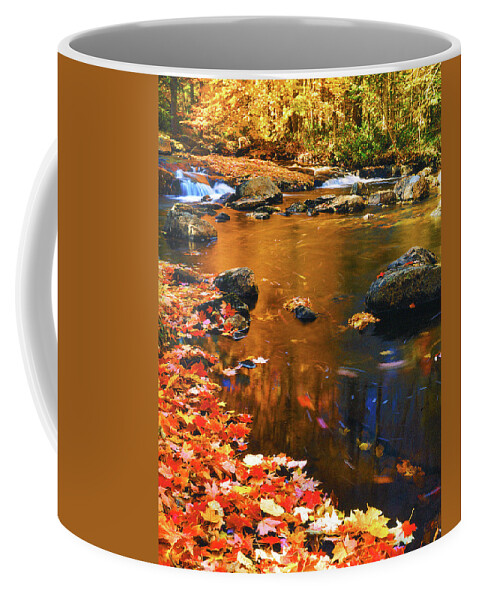 New York Landscape Coffee Mug featuring the photograph Autumn Afternoon #1 by Frank Houck