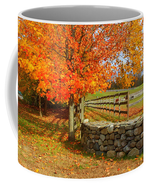 Autumn Afternoon Coffee Mug featuring the photograph Autumn Afternoon #1 by Suzanne DeGeorge