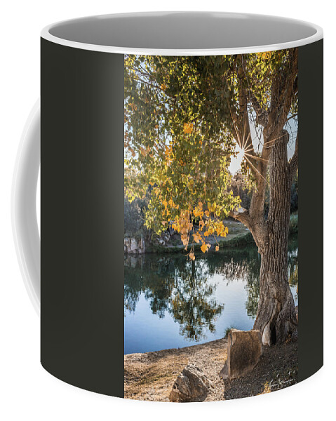 Autumn Coffee Mug featuring the photograph Autumn Light #1 by Aaron Burrows
