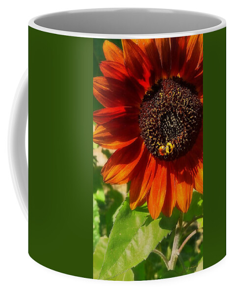 Sunflower Coffee Mug featuring the photograph Autumn Sunflower and Bumble Bee by Amanda Smith