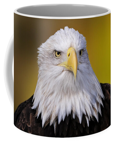 Billdodsworthphotography Coffee Mug featuring the photograph Bald Eagle #1 by Bill Dodsworth
