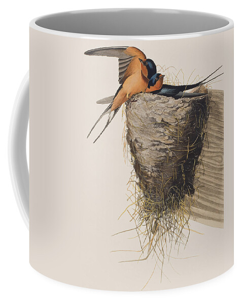 Barn Swallow Coffee Mug featuring the painting Barn Swallow by John James Audubon
