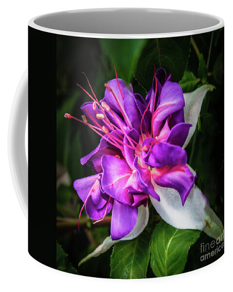 Fuchsia Coffee Mug featuring the photograph Beautiful Fuchsia #2 by Robert Bales