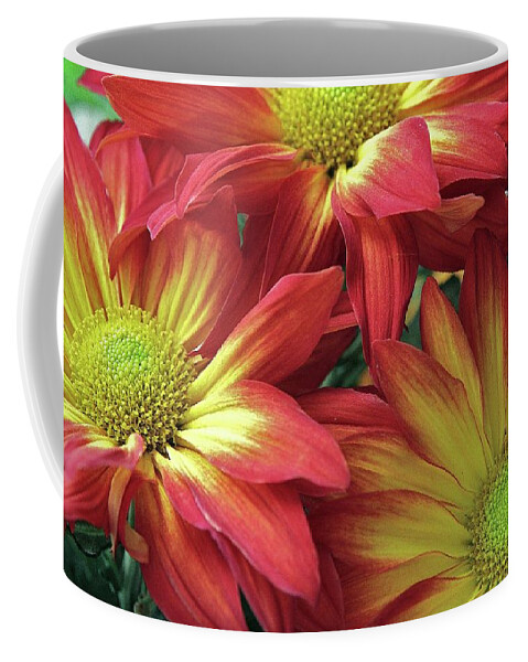 Flowers Coffee Mug featuring the photograph Beautiful Trio #1 by Allen Beatty