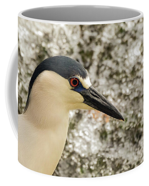 Heron Coffee Mug featuring the photograph Black crowned night heron portrait #1 by Sam Rino